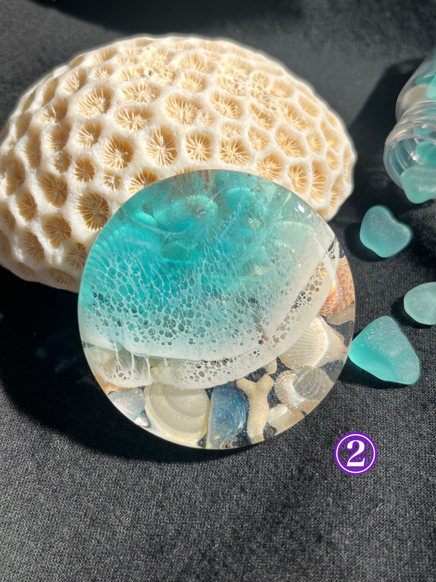 1周年特別価格 たっぷりシェルマグネット