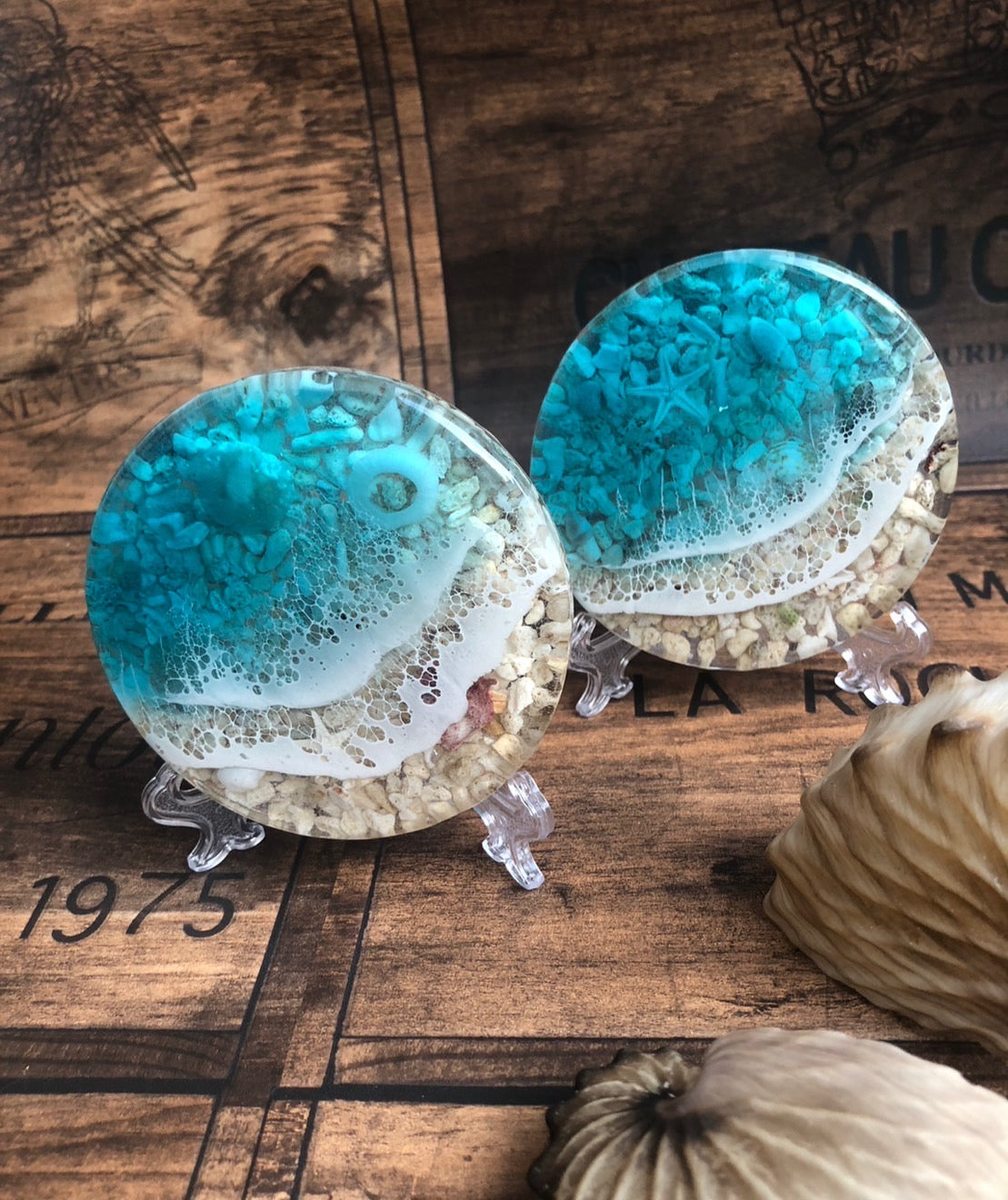 Coral fragment (with stand)